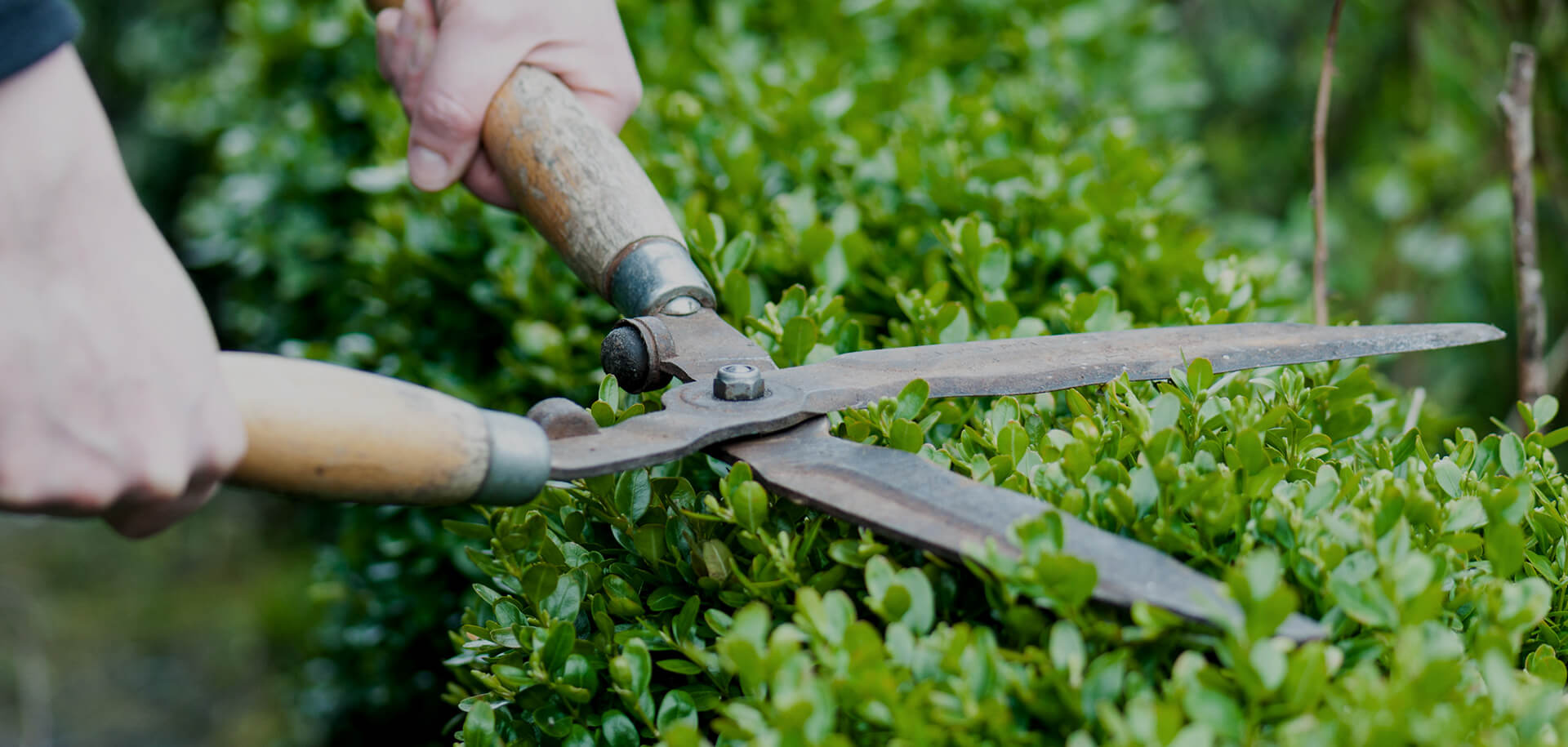 暮らしに寄り添う、やさしい庭づくり。