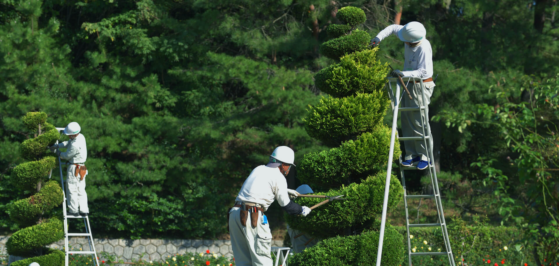 暮らしに寄り添う、やさしい庭づくり。