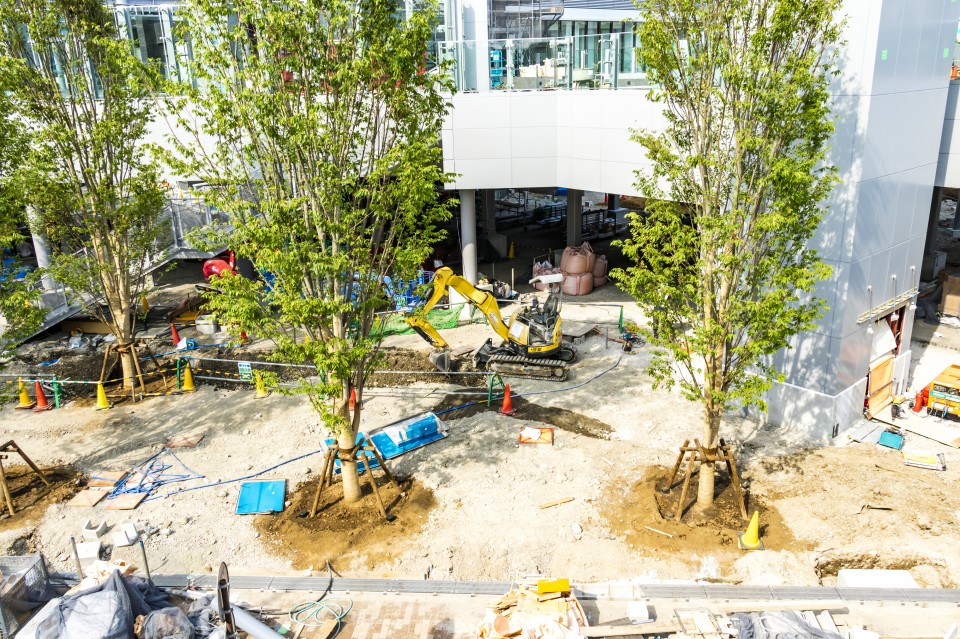 pixta_56016653_L-960x639