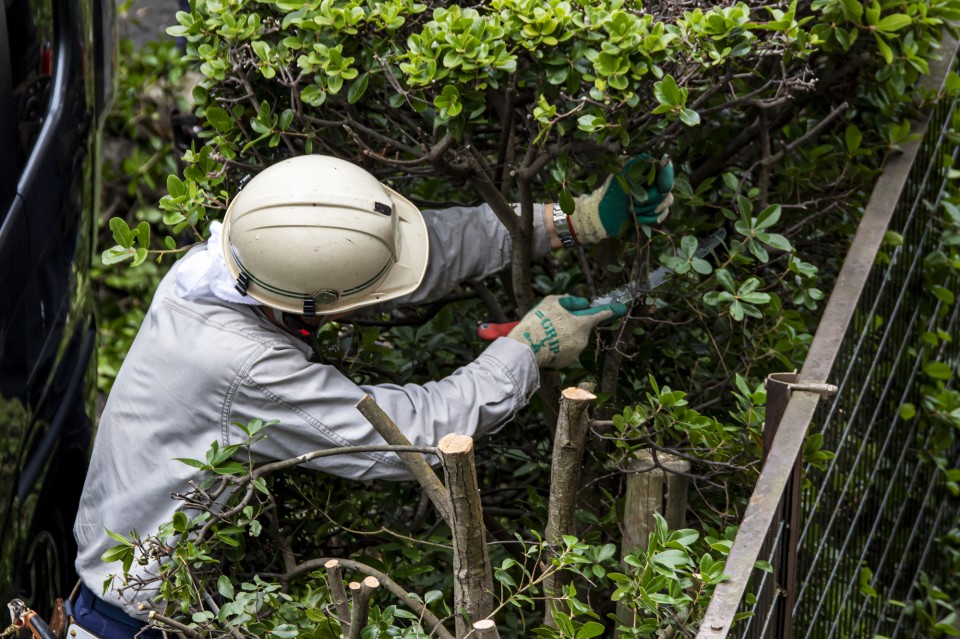 pixta_91011602_M-960x639